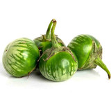 Thai Green Eggplant / LB