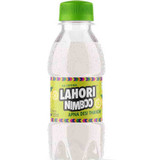 Lahori Nimboo Soda Frozen, 300 ML
