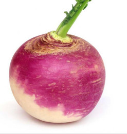 Turnip /Lb