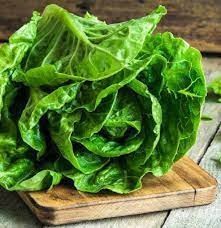 Roman Lettuce / Lb