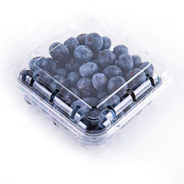 Blue Berry Box