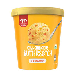 Kwality Butterscoth Frozen, 480 ML