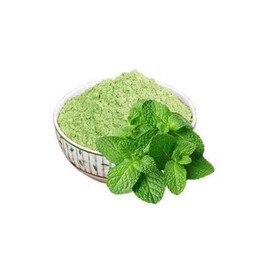 Store Brand Mint Powder, 50 Grams