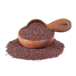 Store Brand Mustard Whole Small, 4 Lb