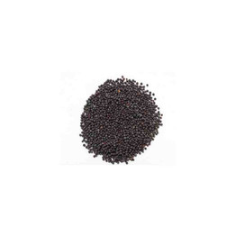 Store Brand Mustard Whole, 400 Grams