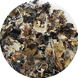 Store Brand Dagar Phool Whole, 3.5 Oz