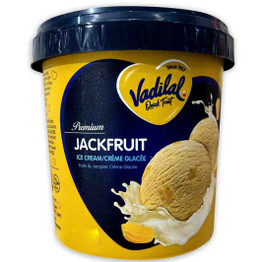 Vadilal Jackfruit Ice Cream, 500 ML