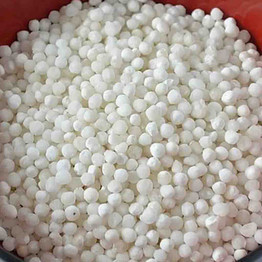 Store Brand Sabudana, 4 Lb