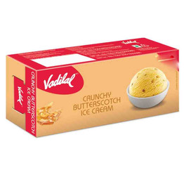 Vadilal Butterscotch Icecream, 750 ML