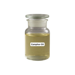 Yrs Camphore Oil, 10 ML