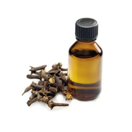 Yrs Clove Oil, 20 ML