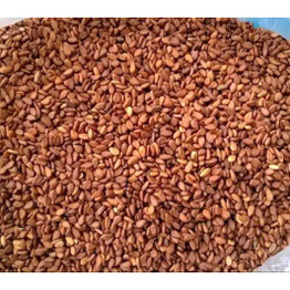 Store Brand Sesame Seeds Brown, 400 Grams