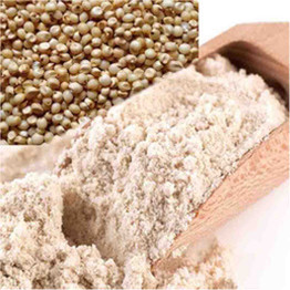 Raghav Bhakhari Flour, 8 Lb