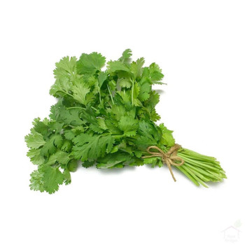 Cilantro / Bunch