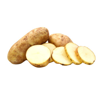 Idaho Potato / LB