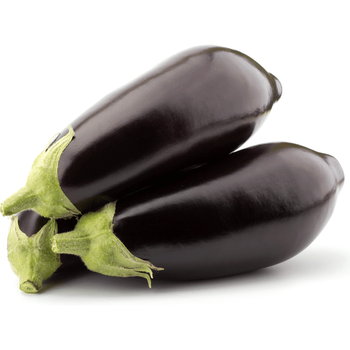 Eggplant Holland / Lb