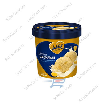 Vadilal Jackfruit Ice Cream, 1 LTR