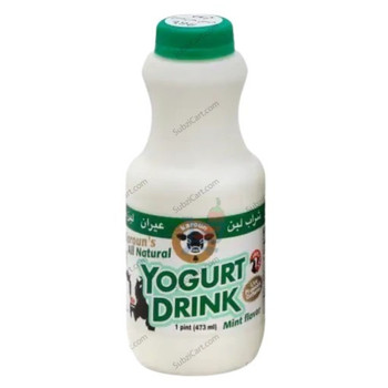 Karoun Mint Yogurt Drink, 1 GAL
