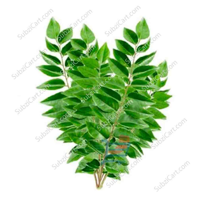 Curry Leaf Per Bag
