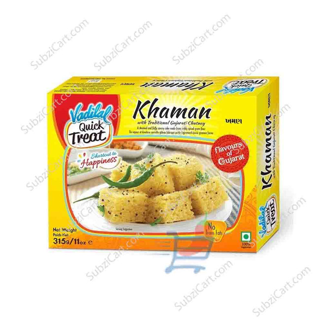 Vadilal Khaman Frozen, 11 Oz