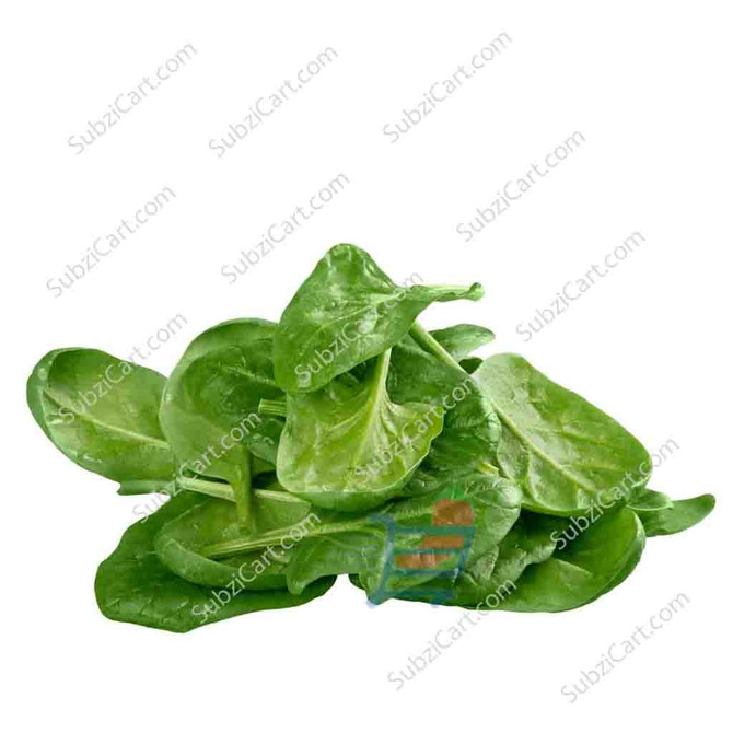 Baby Spinach / Bunch