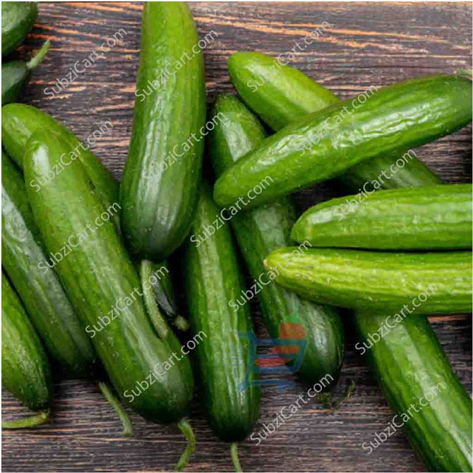 English Cucumber / Each