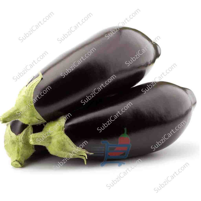 Holland Eggplant / Lb
