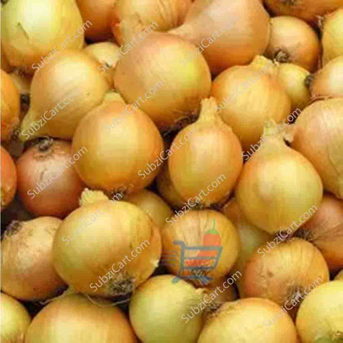 Loose Onion Yellow / Lb