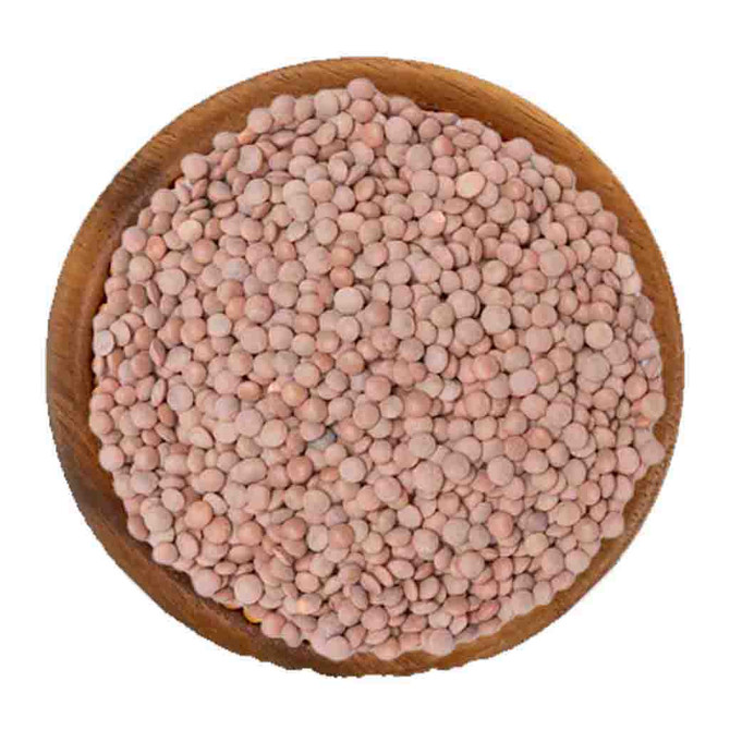 Store Brand Masoor Matki, 7 Lb