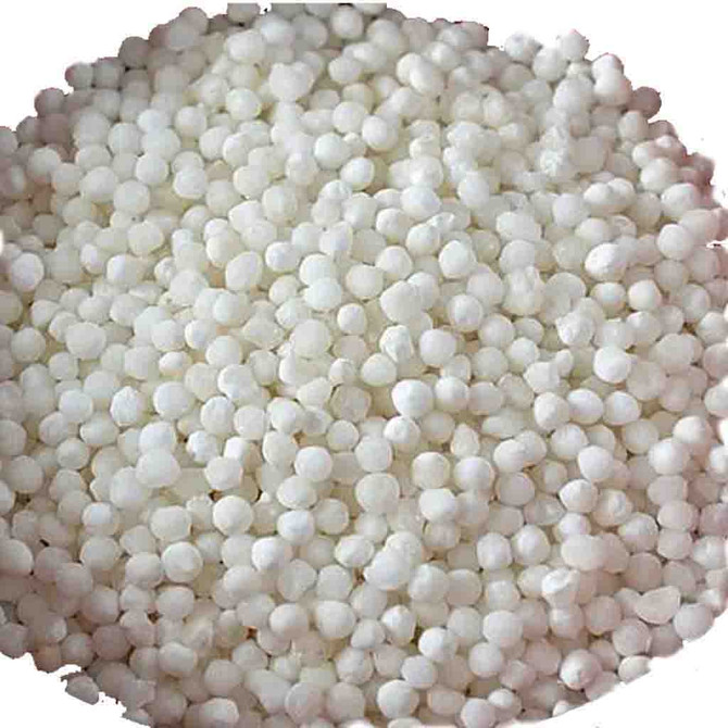 Store Brand Sabudana, 7 Lb
