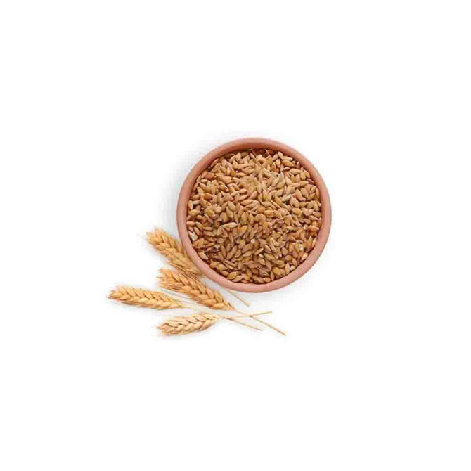 Store Brand Wheat Whole, 908 Grams