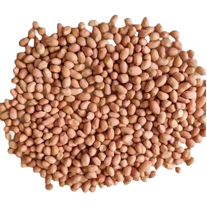 Store Brand Peanut Medium, 56 Oz