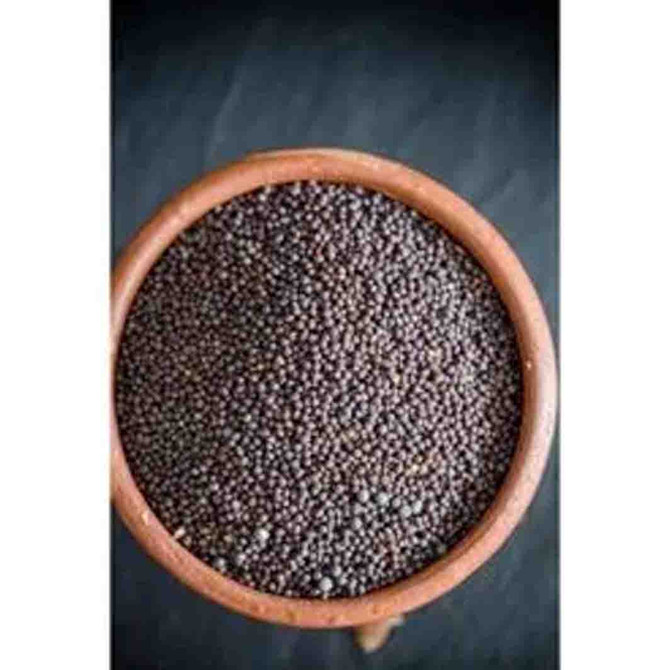 Store Brand Jar Mustard Whole Big, 275 Grams