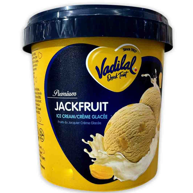 Vadilal Jackfruit Ice Cream, 500 ML