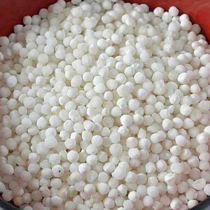 Store Brand Sabudana, 4 Lb