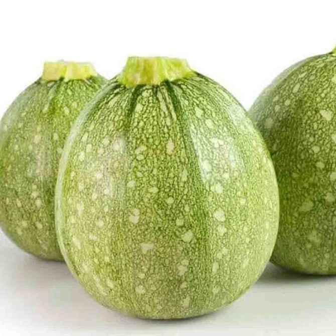 Round Squash / Each
