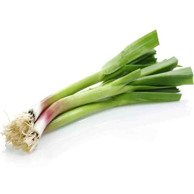 Green Garlic / Lb