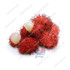Rambutan / Lb