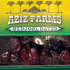 Aziz Farms Medjool Dates, 2 Lb