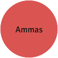 Ammas
