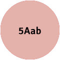 5Aab