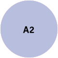 A2