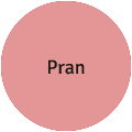 Pran