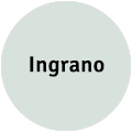 Ingrano