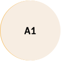 A1