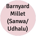 Barnyard Millet (Sanwa | Udhalu)