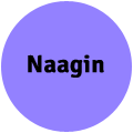 Naagin