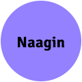 Naagin