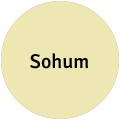 Sohum