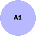 A1